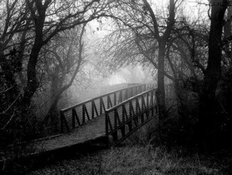 Pictures Beautiful Black And White Nature Picture HD Wallpaper Image