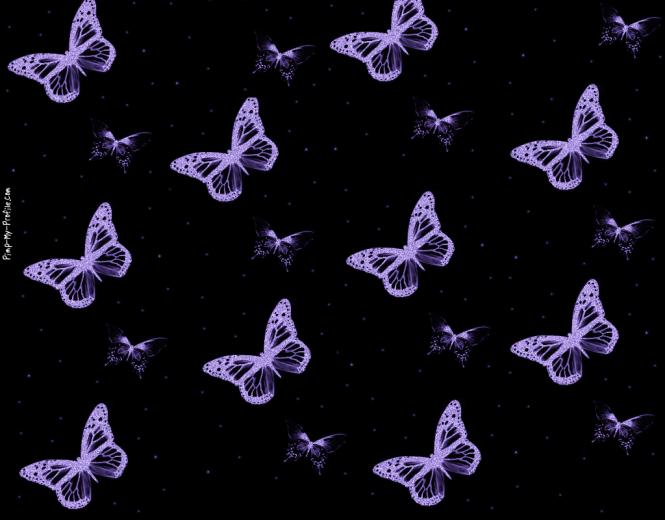 Background Butterfly Sunset Background Digitalicing Albums