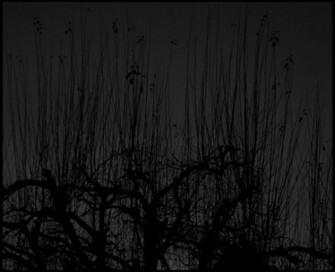 Black And Grey Wallpaper Background Theme Desktop