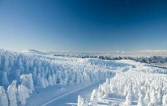Yamagata Zao Onsen Ski Resort Japan Winter