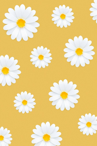 Daisy Aesthetic Wallpaper