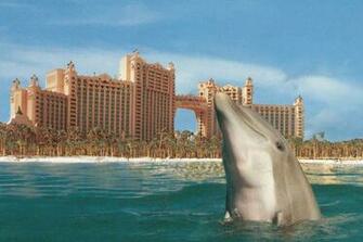 Paradise Island Bahamas To Tell The Story Of Battle Atlantis