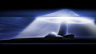 Neon Mushroom Wallpaper Image Pictures Becuo