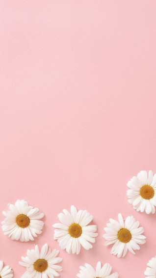 Lovezoe91 On Sunflowers Pastel iPhone Wallpaper Pink