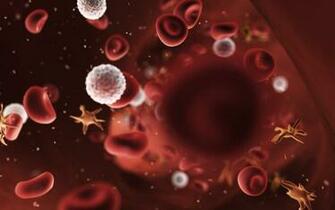 Ultra HD 4k Blood Wallpaper Desktop Background