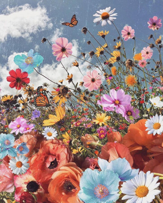 Colorful Flowers Wallpaper Aesthetic