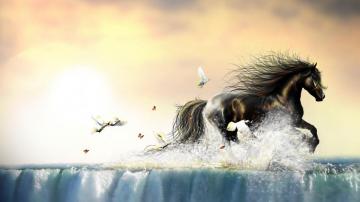 Fantasy Horse Wallpaper Horses