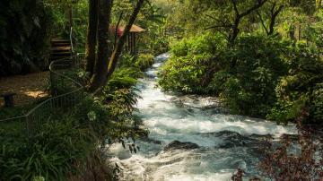 Photos Of A Hidden Park In Uruapan Michoacan Beautiful Mexico