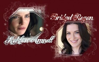 Legend Of The Seeker Wallpaper Bridget Regan