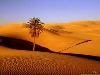 Fascinating Scenes Of Desert Wallpaper Travelization