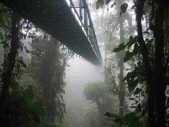 Monteverde Wallpaper