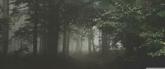Ultra Wide Wallpaper Beautiful Full HD