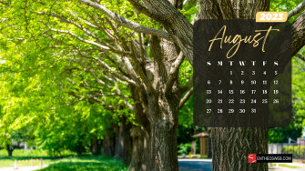 August Calendar Desktop Wallpaper Entheosweb