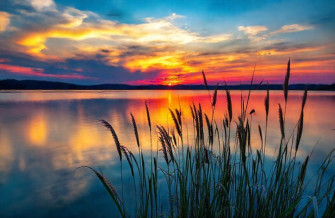Live HD Wallpaper