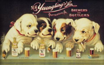 Yuengling Puppies Beer Poster
