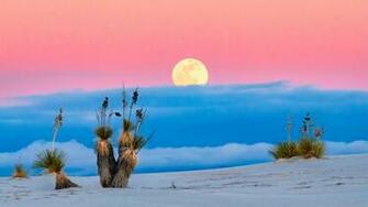 Nature HD Wallpaper Background