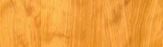 Wordpress Background Wood Birch Grain Background
