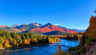 Nature Wallpaper