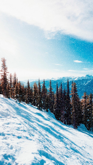 Nature Winter Phone Wallpaper