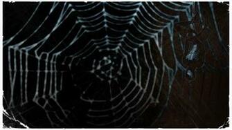 Spider Man Symbiote Wallpaper By Squiddytron