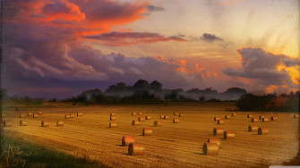 Vintage Harvest Ultra HD Desktop Background Wallpaper For 4k UHD
