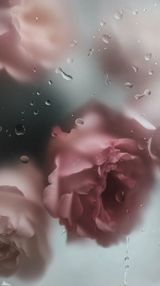 Flower Aesthetic Wallpaper