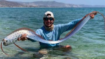 X Fishermen Release Juvenile Oarfish Back Into The