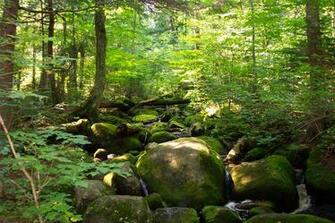 Adirondacks Region Of New York