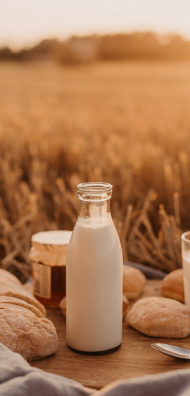 iPhone HD Milk Wallpaper Image