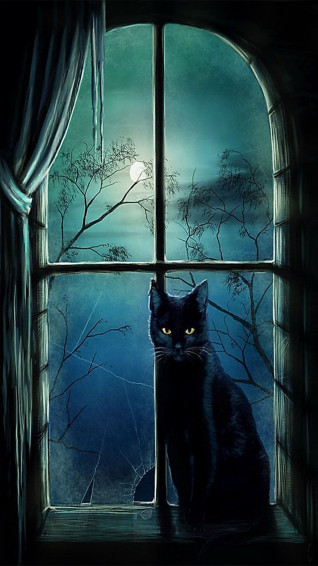 Halloween iPhone5 Wallpaper Ppt Garden Black