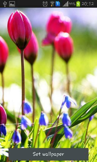 Spring Is Coming Pour Android T L Charger Gratuitement Fond D
