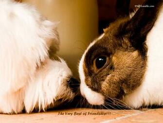 Friendship Wallpaper