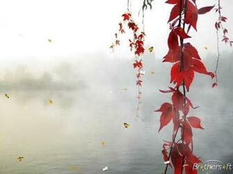 Fantastic Nature Screensaver