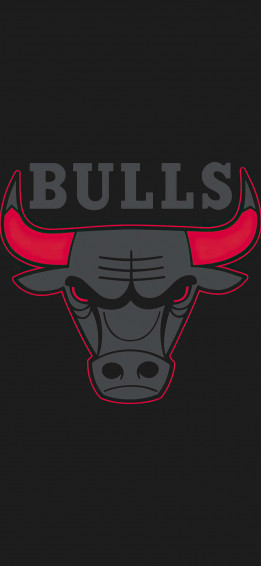 Chicago Bulls iPhone Wallpaper