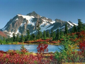 Nice Wallpaper Beautiful Natural