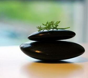 Zen Wallpaper Hot Mobile Phone