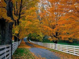 Wallpaper Autumn Scenery Desktop