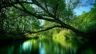 Nature Wallpaper For Desktop