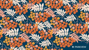 Cute Background Inspired By Fall