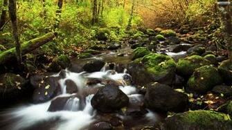 High Definition Wallpaper Photo Html