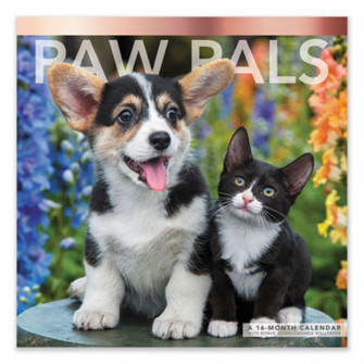 Mead Lme2261023 Paw Pals Wall Calendar Kitten And Beach Audio
