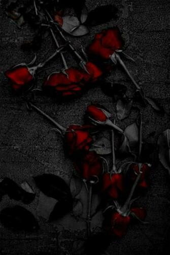 Gothic Roses Gothika