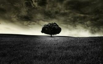 Tree Themed Wallpaper