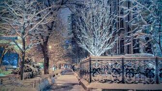 Wallpaper Il Street Illinois Chicago Trees Winter