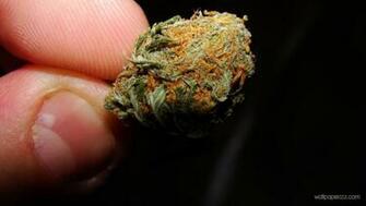Weed HD Wallpaper