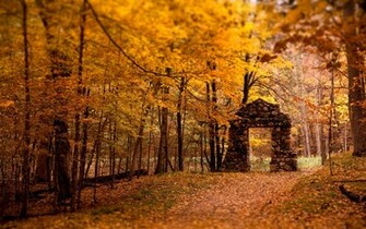 Stunning Fall Wallpaper