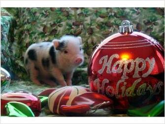 Pigs Cup Mini Christmas Baby
