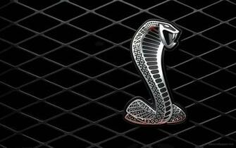 King Cobra HD Wallpaper