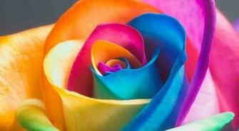 Image About V Ri Colour Josef