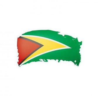 Guyana Flag Vector Illustration On A White Background Stock
